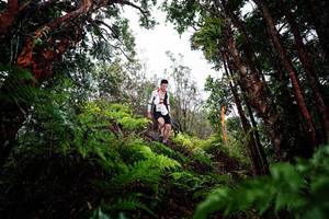 BIB: 
                            <button type="button" onclick="openModal(26204059)" class="btn btn-primary btn-sm float-right btn-popup" data-toggle="modal" data-target=".modal-high-quality">
                        <i class="fas fa-shopping-cart"></i> Add to Cart
                    </button>
                                            <button type="button" onclick="isThisMe(26204059, true)" class="btn btn-success btn-sm float-right btn-popup btn-isme hidden" data-toggle="tooltip" data-placement="bottom" title="นี่คือรูปของคุณใช่ไหม คลิกที่นี่เพื่อเอาเข้าอัลบั้ม">
                        <i class="fas fa-plus"></i> Add to album
                    </button>
                    <button type="button" onclick="isThisMe(26204059, false)" class="btn btn-warning btn-sm float-right btn-popup btn-isnotme hidden">
                        <i class="fas fa-ban"></i> Remove from album
                    </button>